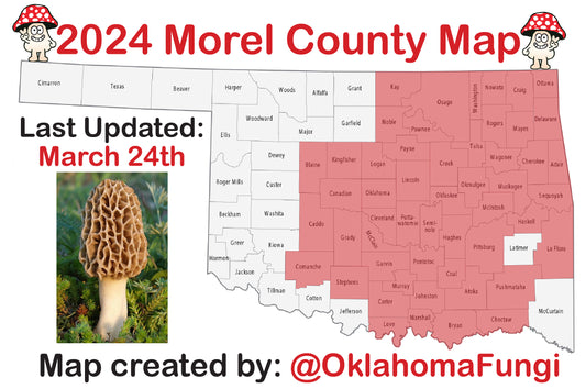 Oklahoma Morel Mushroom Season '24